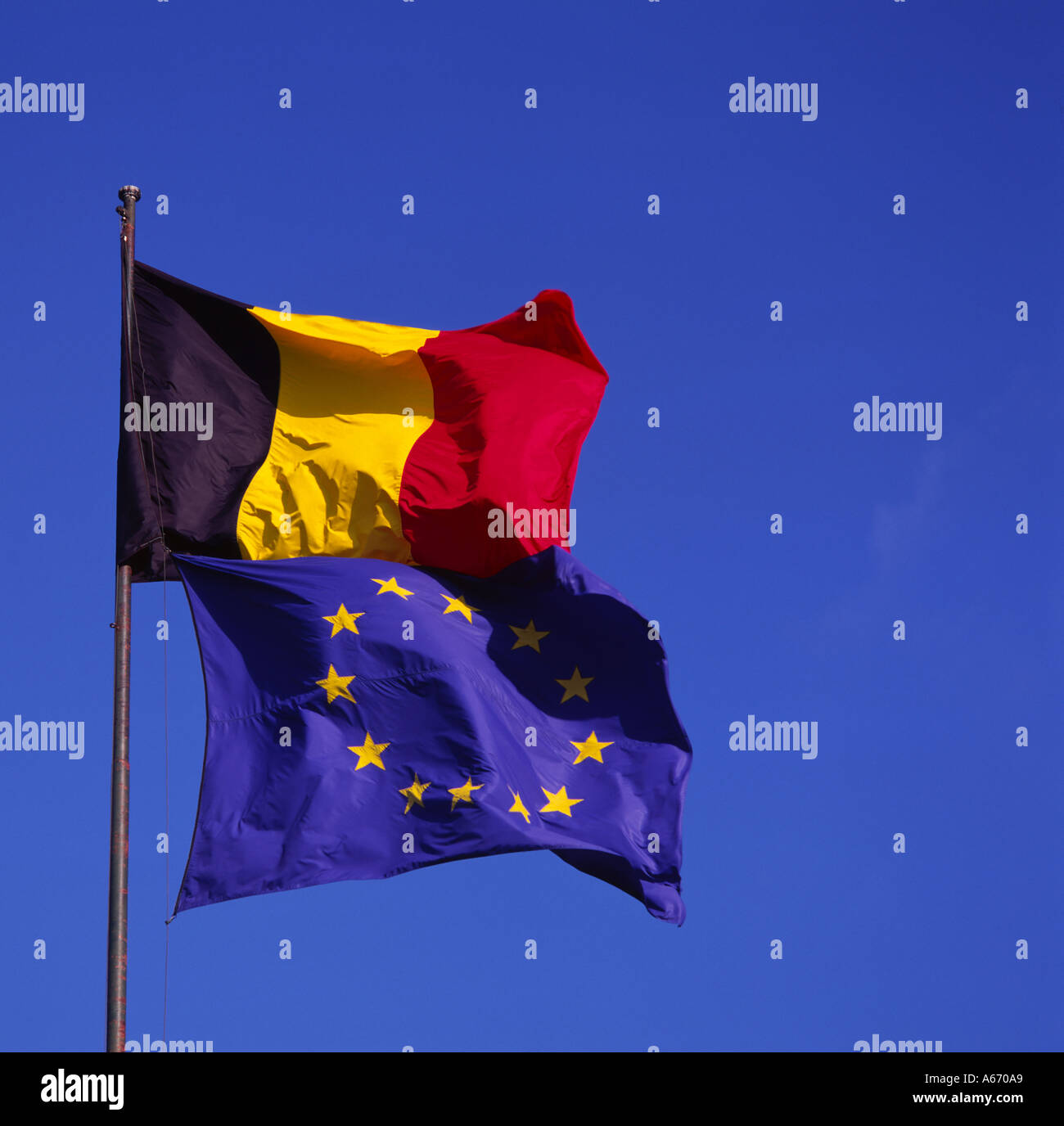 Bandiera belga e bandiera UE Foto Stock