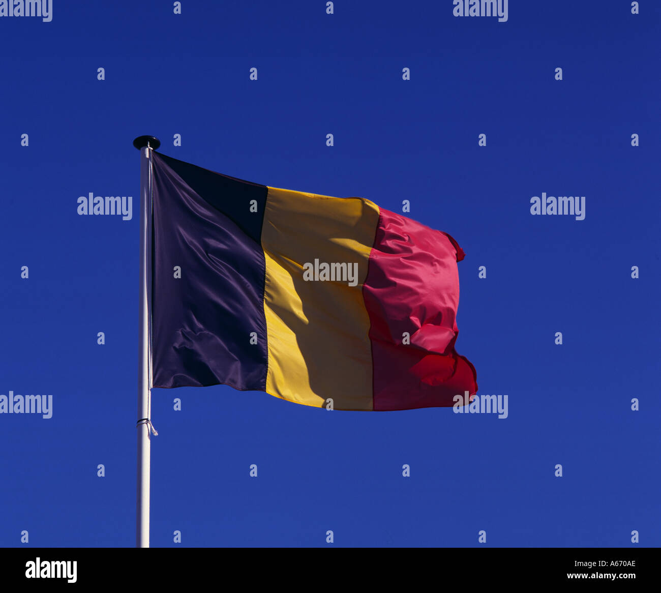 Bandiera belga, Belgio Foto Stock