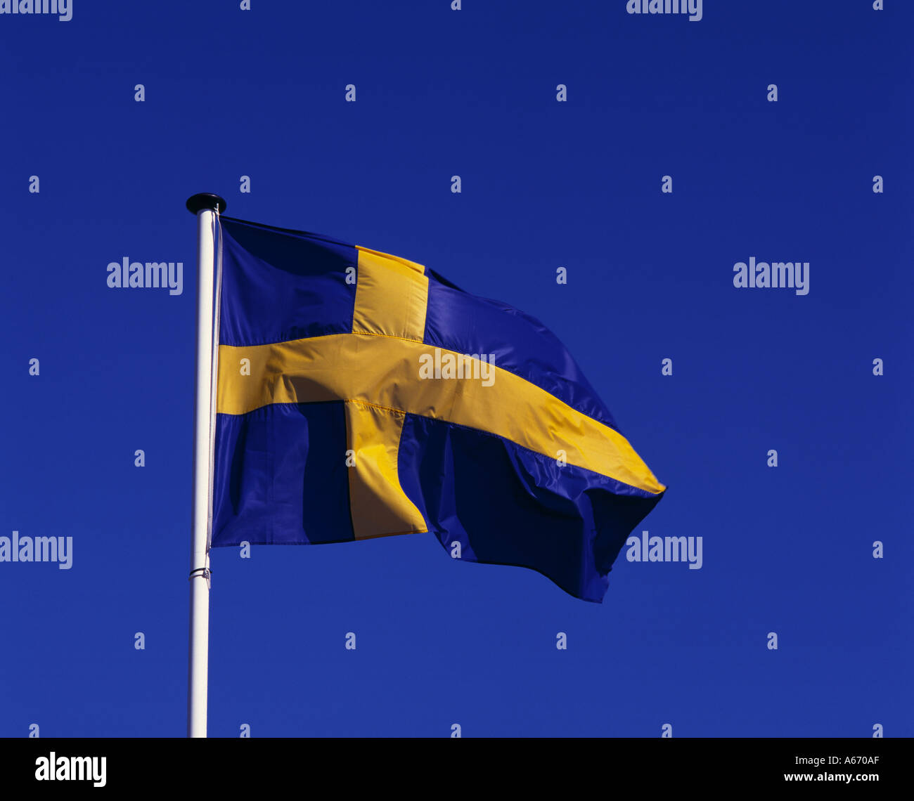 Bandiera svedese, Svezia Foto Stock