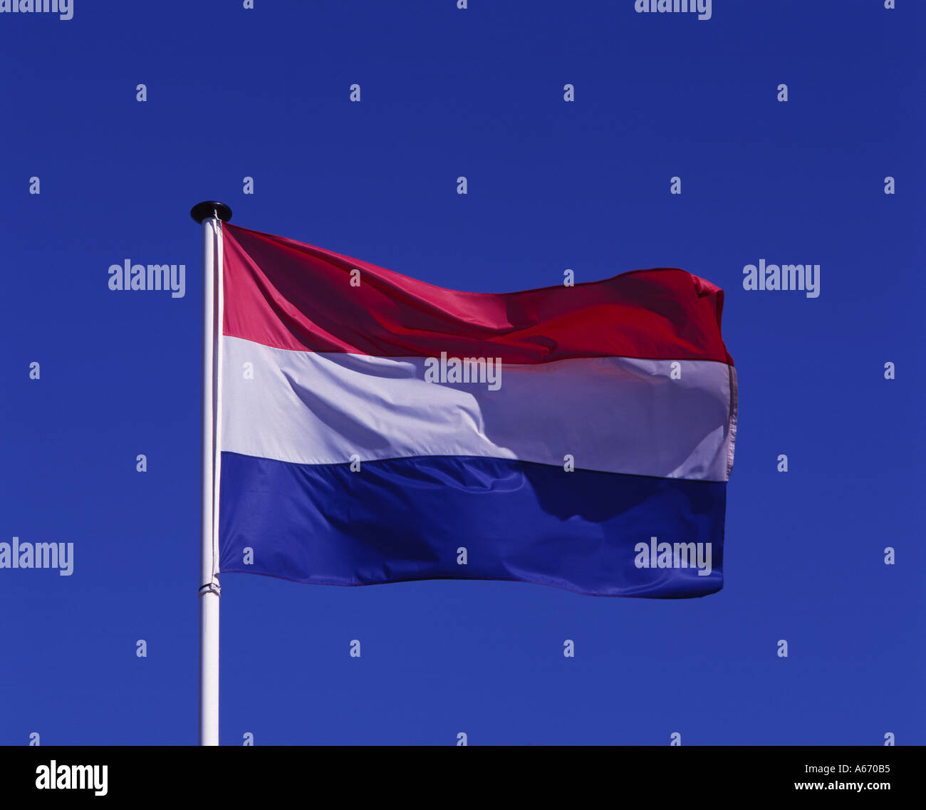 Bandiera olandese, Paesi Bassi Foto Stock
