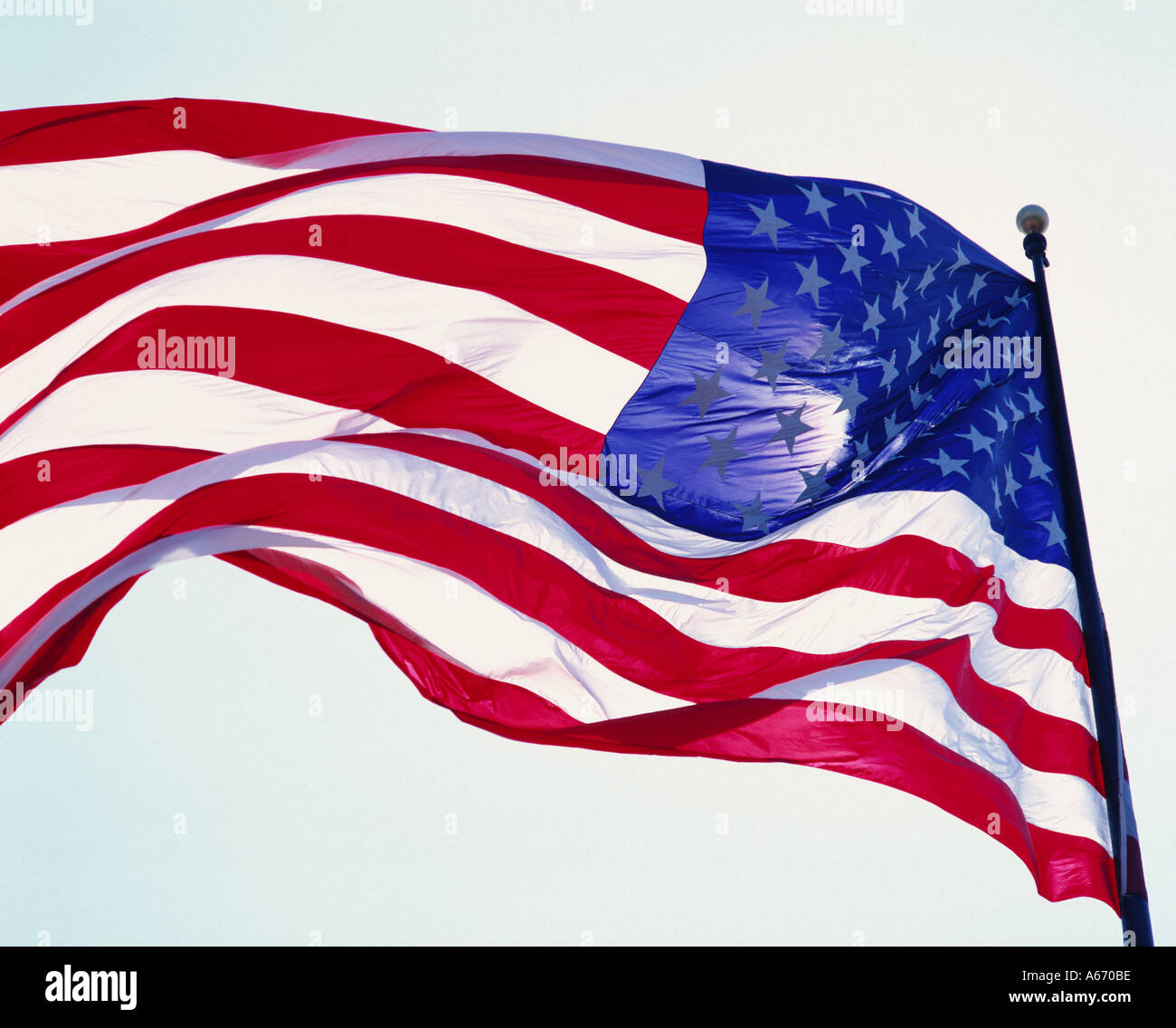 Noi bandiera, STATI UNITI D'AMERICA Foto Stock