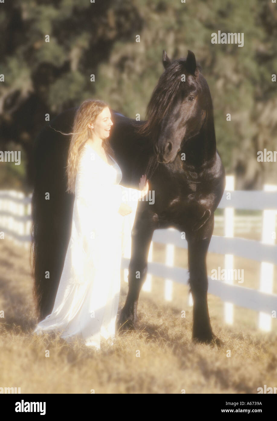 Giovane donna in abito bianco con il nero il frisone stallone Foto Stock