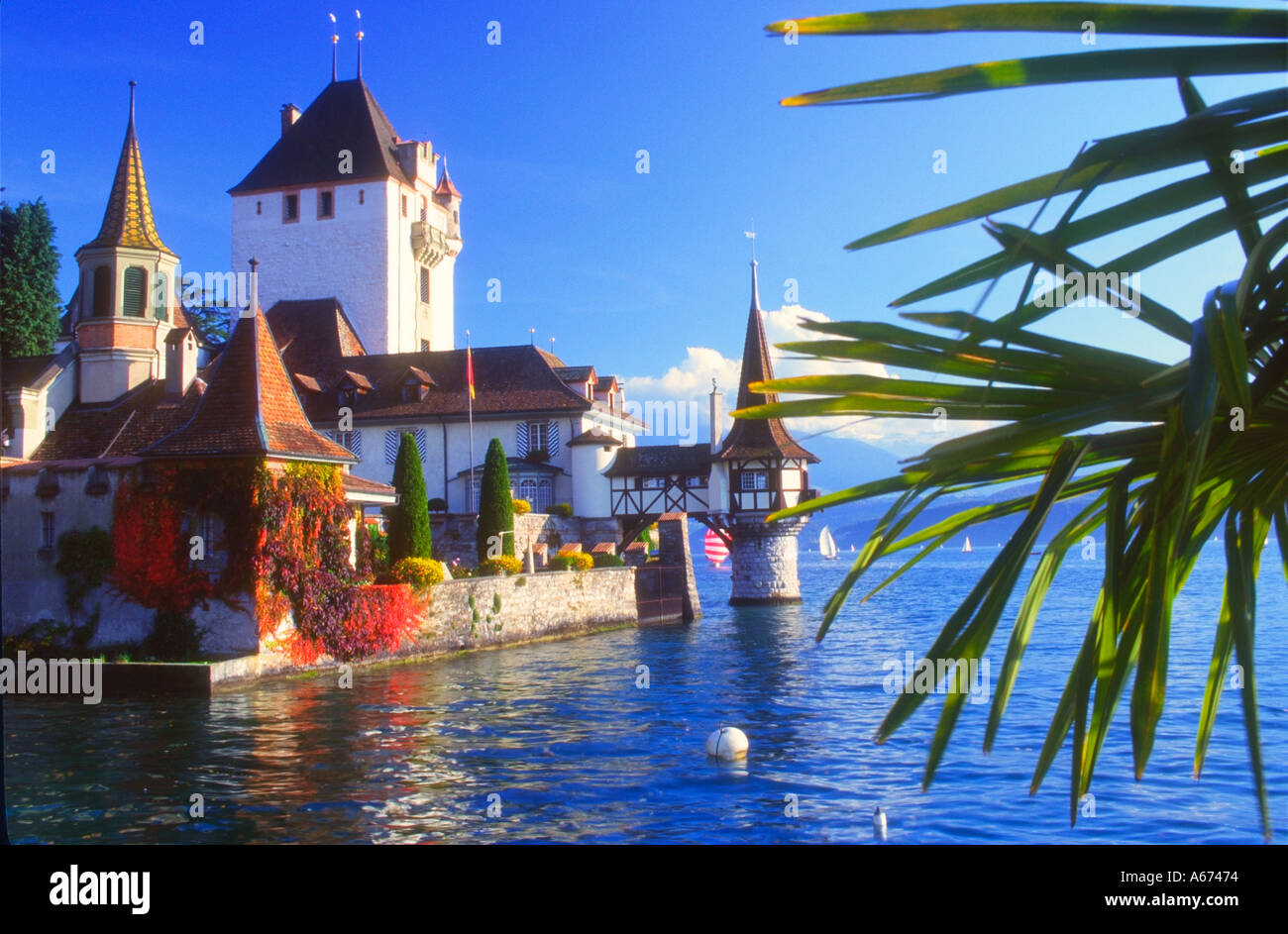 Il castello di Oberhofen sul Lago di Thun in Svizzera Foto Stock