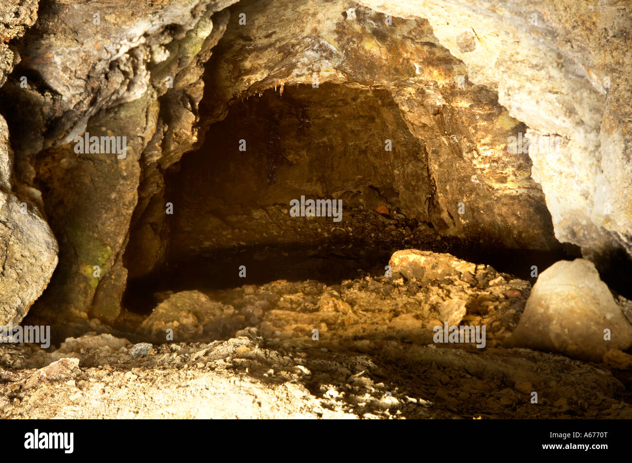 Tar Pit tunnel di alimentazione a Ironbridge Gorge Shropshire England Regno Unito Foto Stock