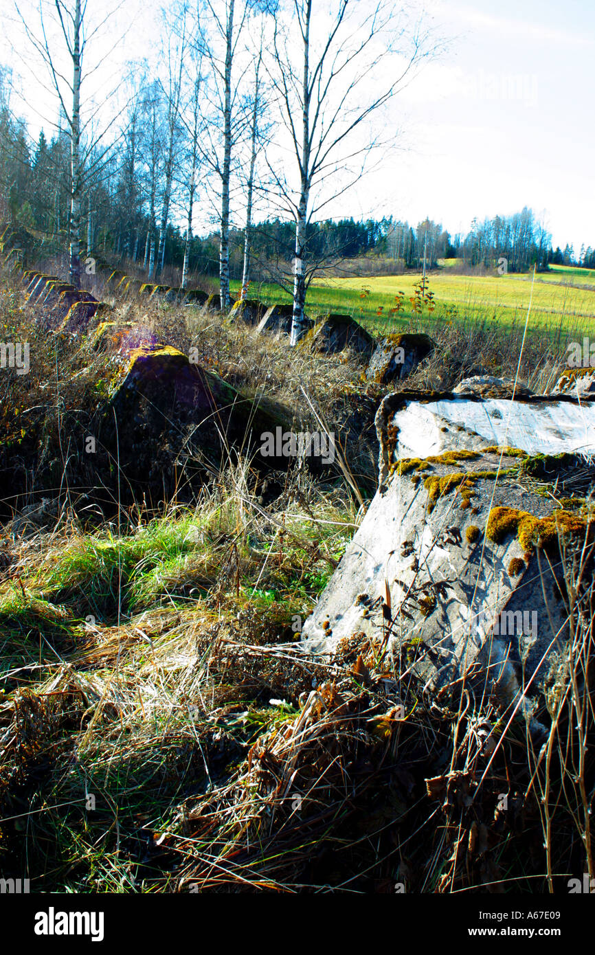 Colonne di cemento in una fila coperti di muschio Foto Stock