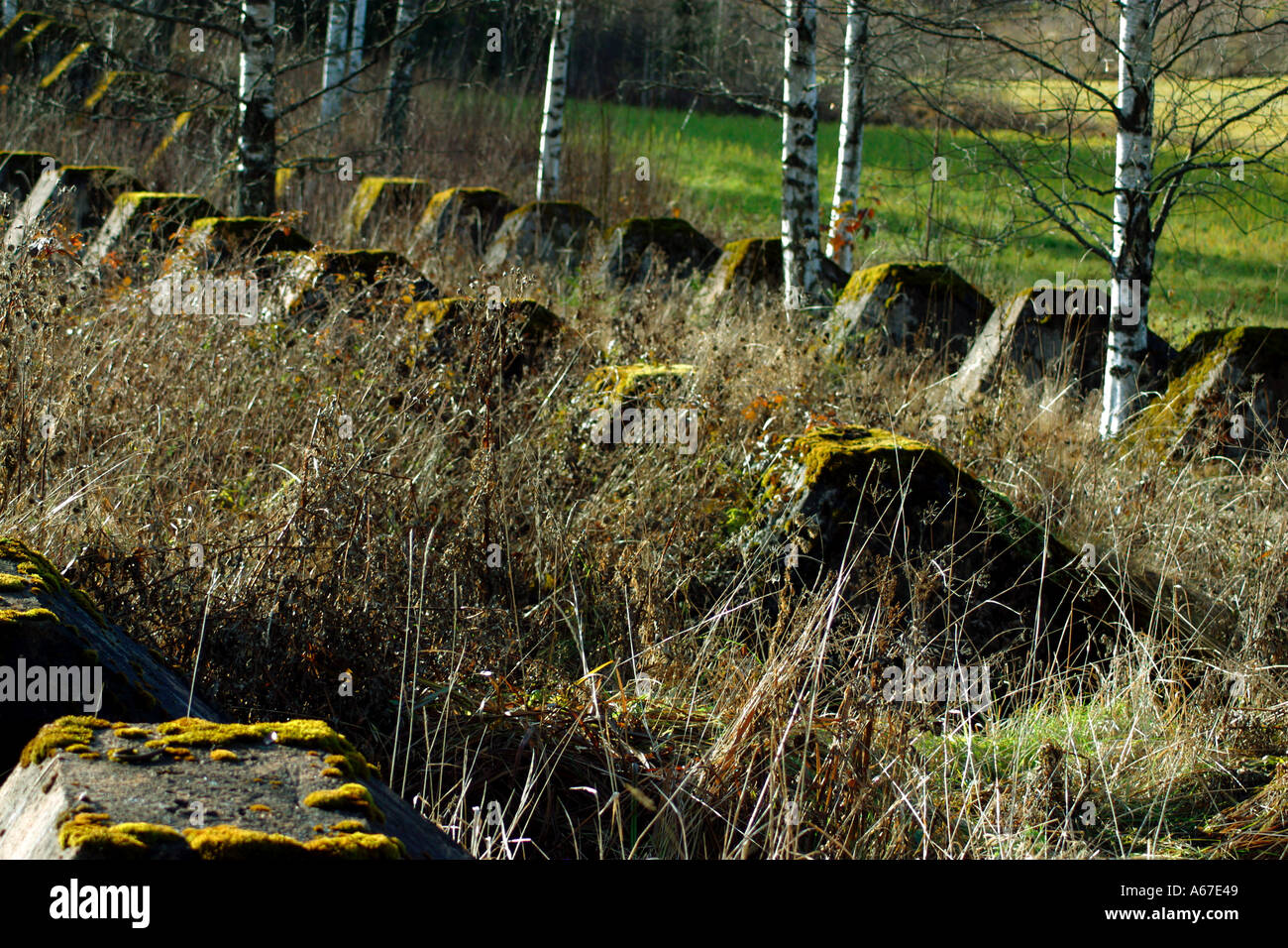Colonne di cemento in una fila coperti di muschio Foto Stock