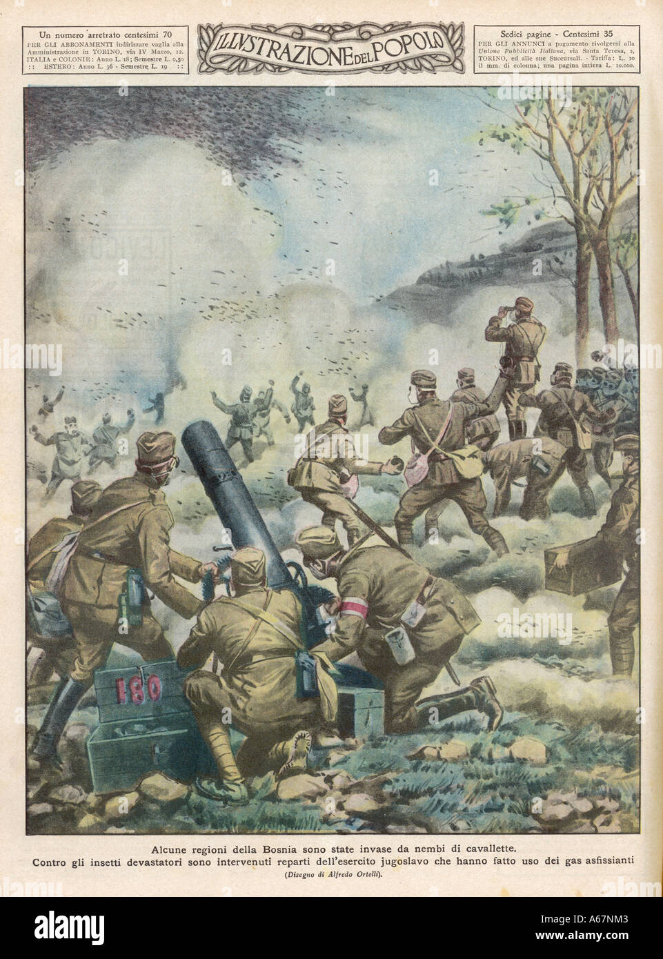 Le cavallette in Bosnia Foto Stock