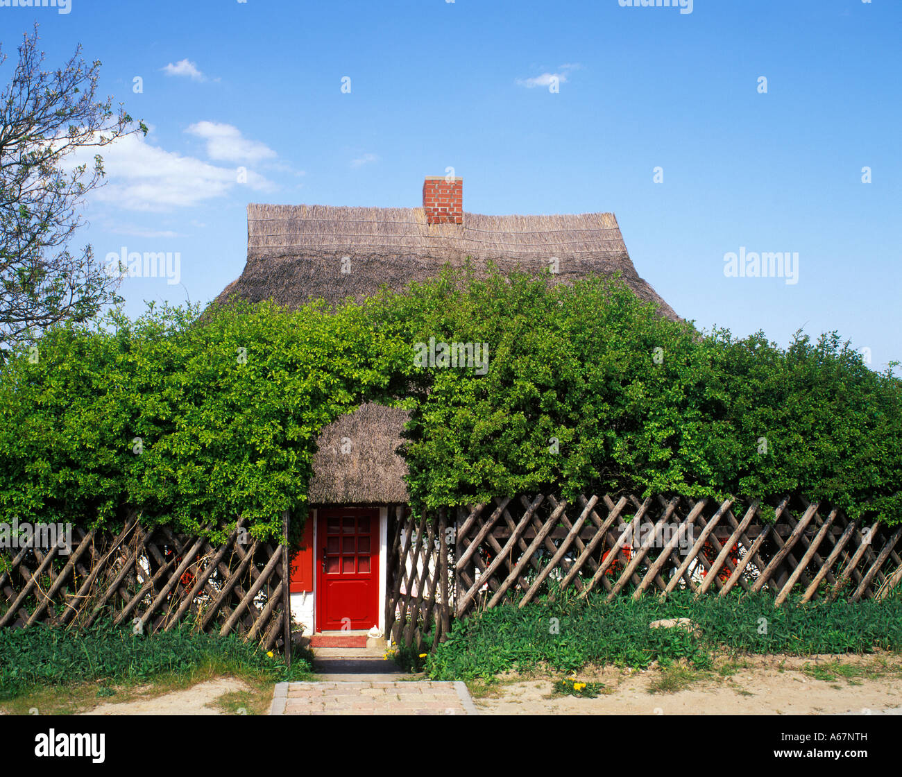 Casa di pescatori nella penisola Ahrenshoop Darss Meclemburgo-pomerania Germania Foto Stock