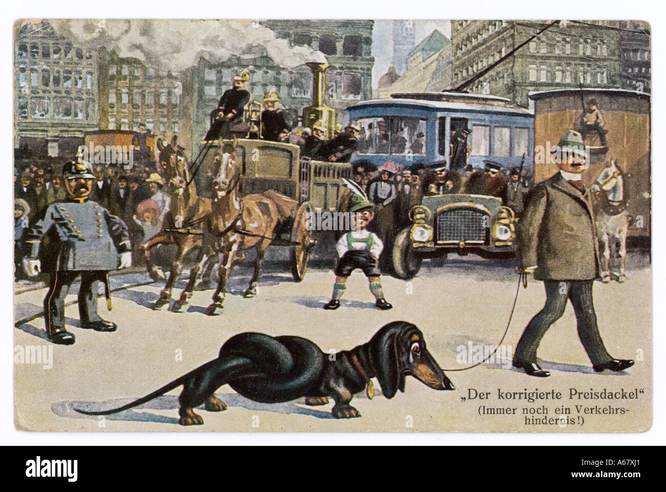 Lungo il cane bassotto Foto Stock