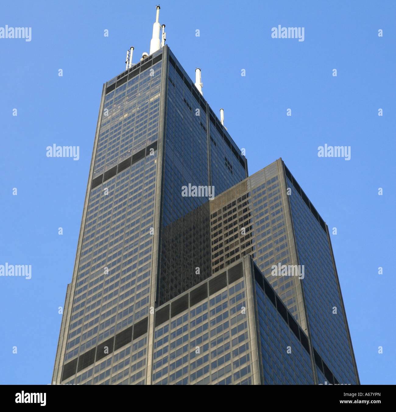La Sears Tower, Chicago, Illinois, Stati Uniti d'America Foto Stock