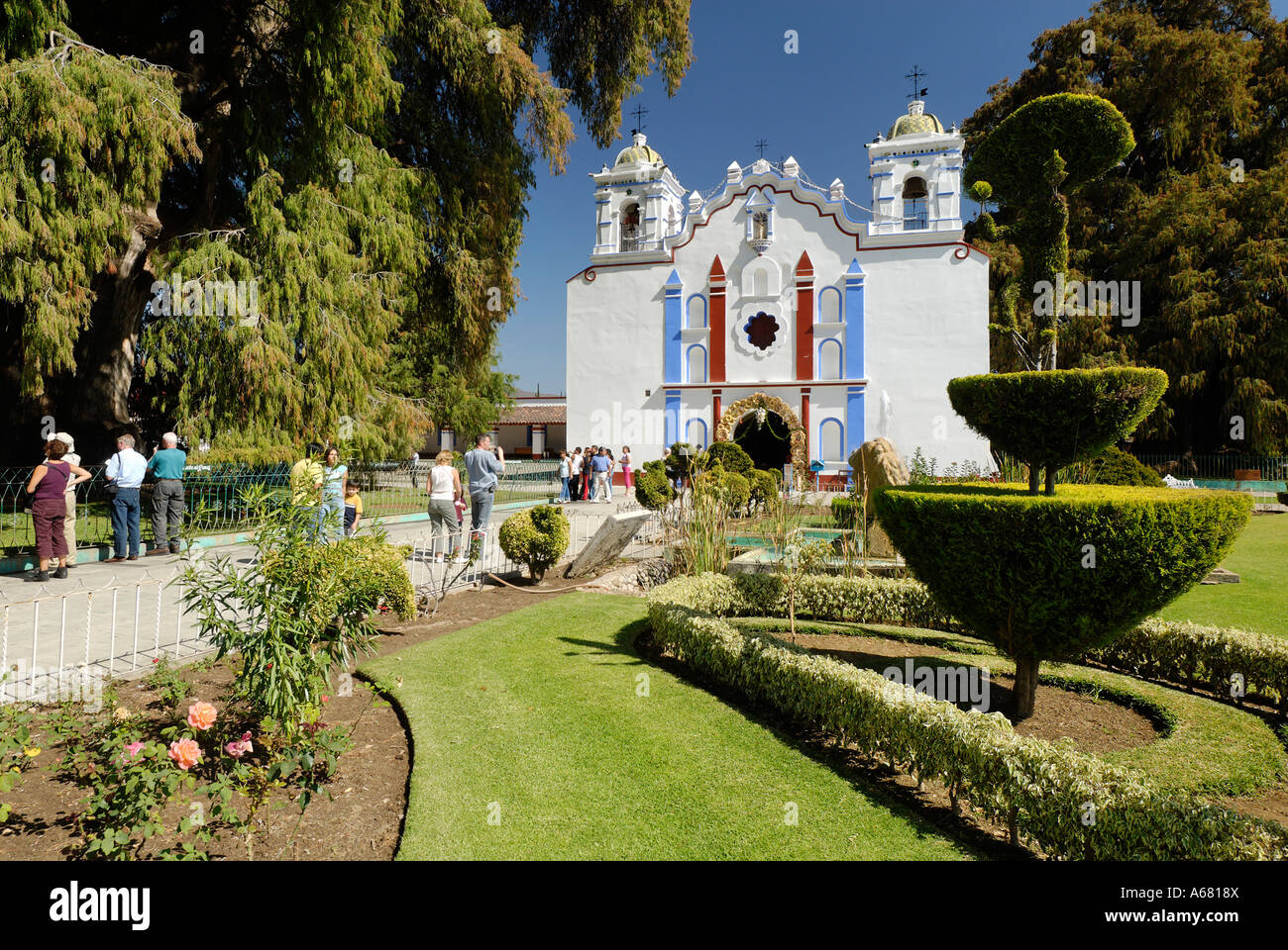 La Chiesa al Arbol de Tule, albero del Tule, Santa Maria del Tule, Oaxaca, Messico Foto Stock