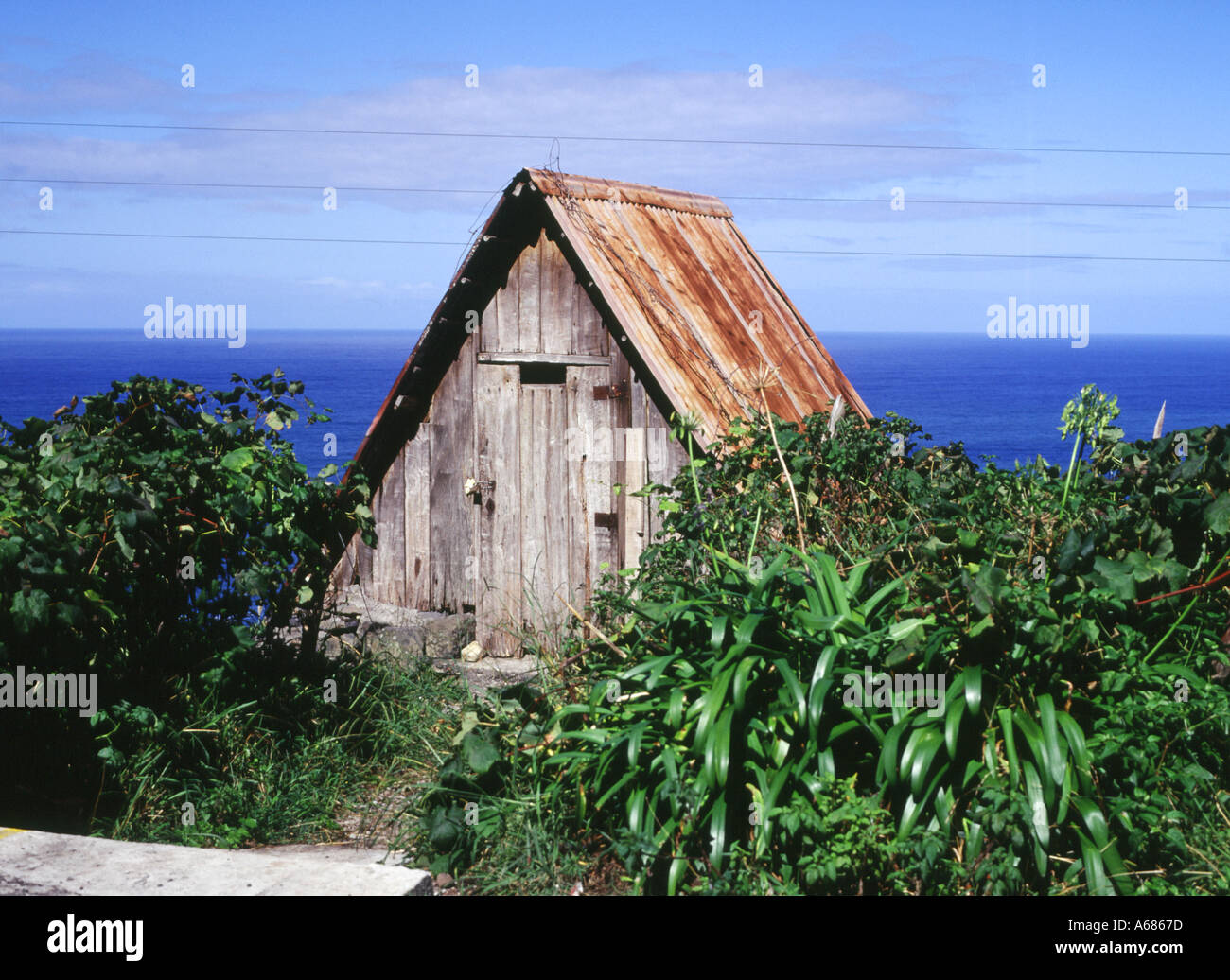 dh COSTA SETTENTRIONALE MADEIRA Madeiran stile allevamento outhouse capanna vecchio giardino Shack nessuno Foto Stock
