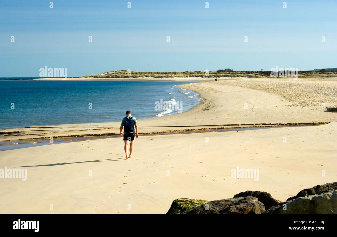 Uomo a camminare sulla spiaggia di Shell Bay, Studland, Isle of Purbeck, Dorset, Regno Unito Foto Stock