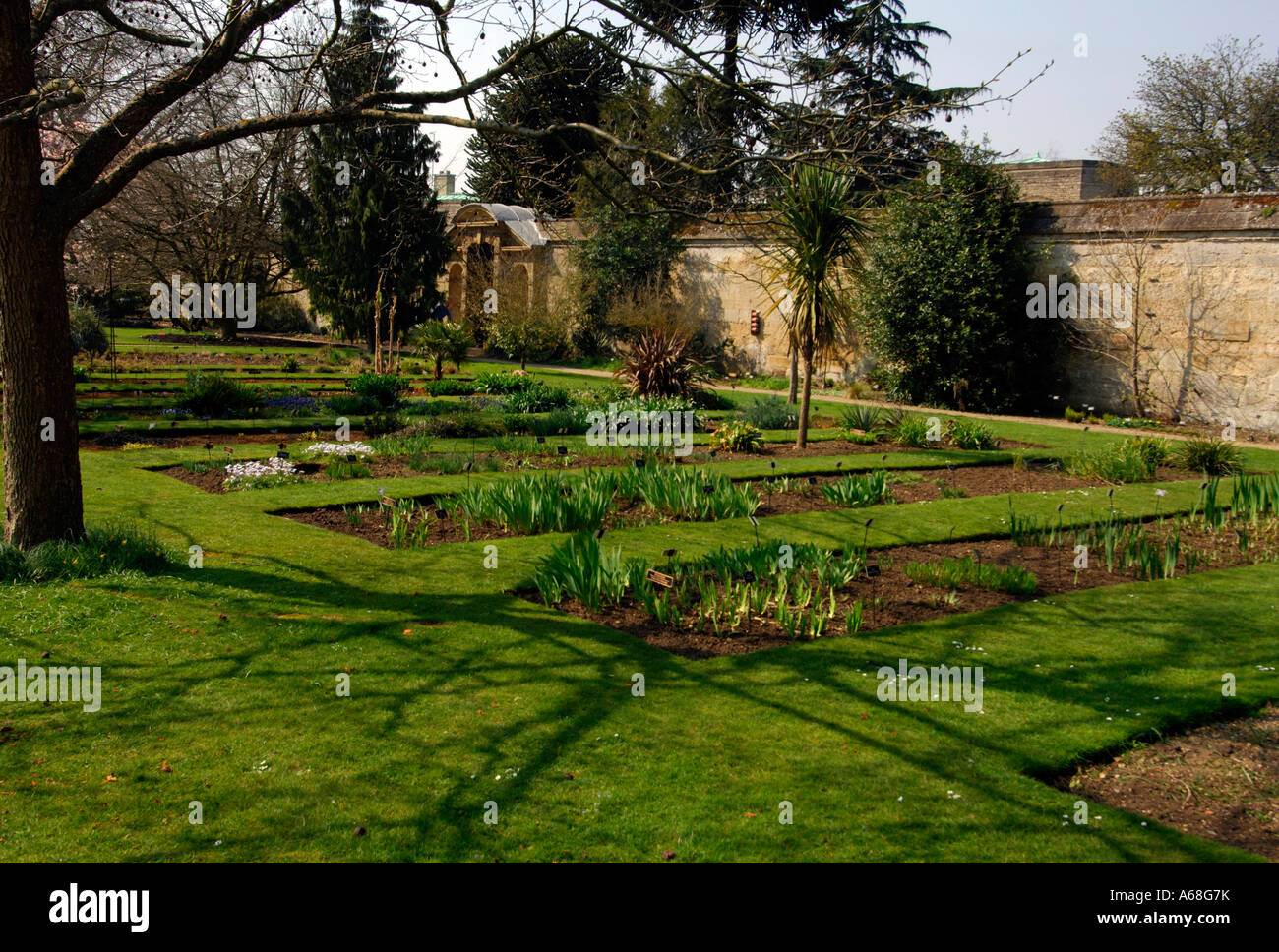 La University of Oxford Botanic Garden Foto Stock