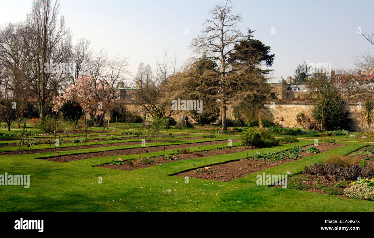 La University of Oxford Botanic Garden Foto Stock