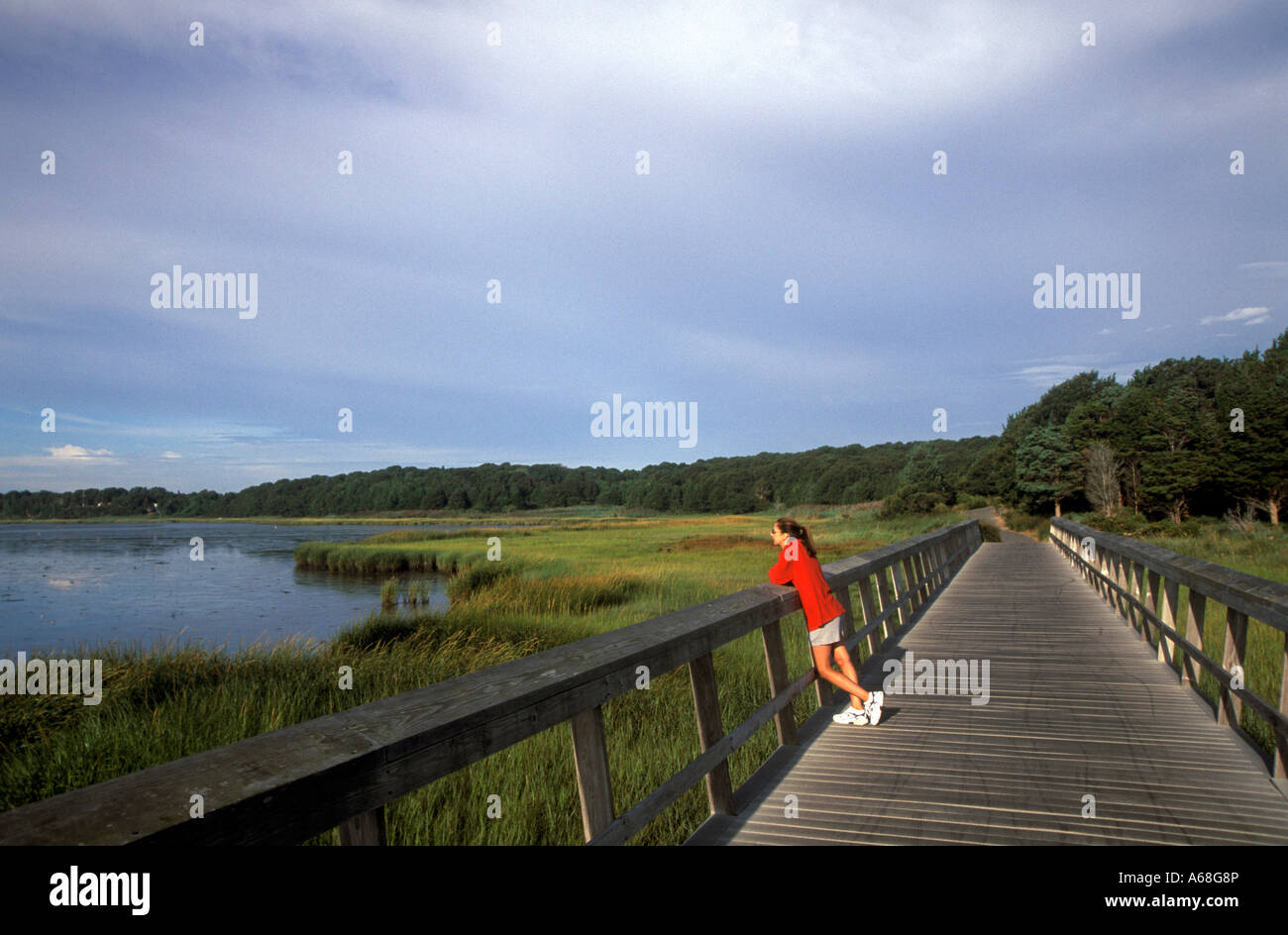 Donna godendo la vista da un ponte pedonale su Marsh al Cape Cod National Seashore Eastham Cape Cod Foto Stock