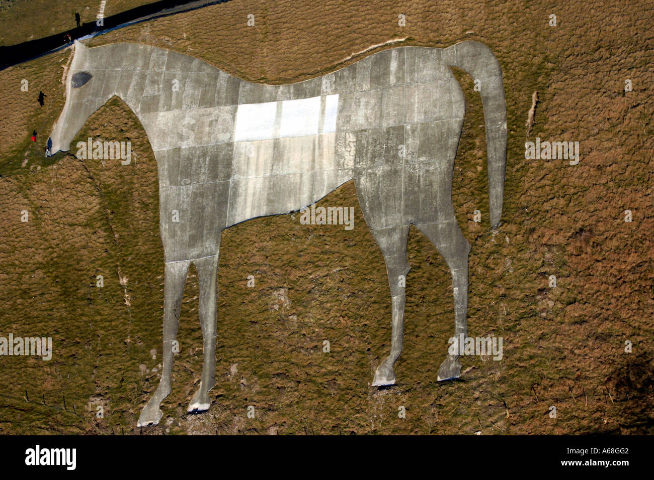 Westbury Cavallo Bianco dal di sopra. Wiltshire, Regno Unito Foto Stock