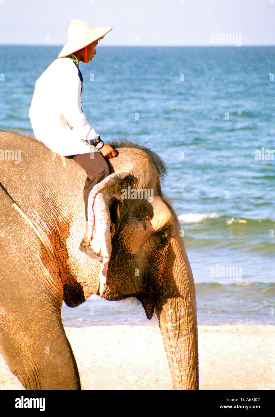 Ragazzo equitazione elefante, China Beach, Vietnam, Foto Stock