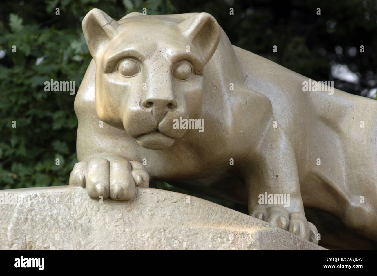 Nittany Lion statua della Penn State University Foto Stock