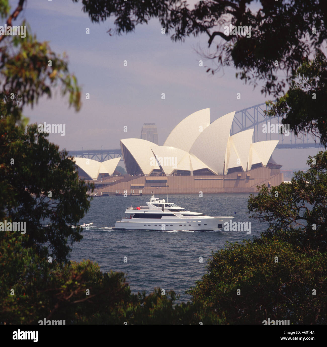 Il Porto di Sydney & Opera House su Bennelong Point incorniciato tra gli alberi dei Giardini Botanici Reali a Mrs Macquaries Point Australia Foto Stock