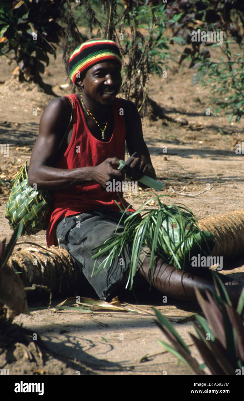 East Africa Tanzania Caption locale isola prigione di scimmia piantagione di Erba di tessitura man Foto Stock