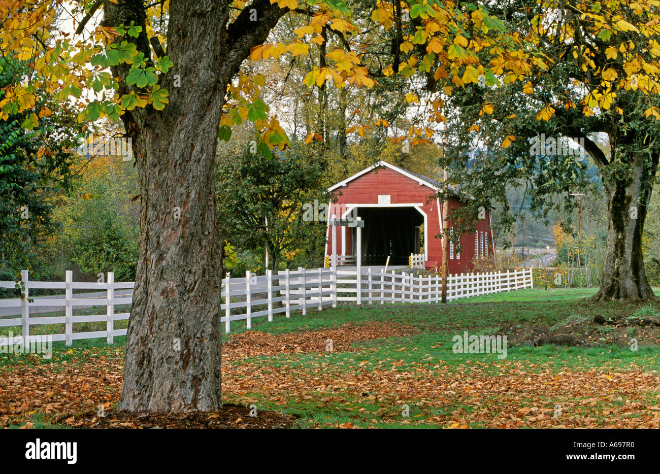 Shimanek ponte coperto su Thomas Creek vicino alla città di Scio in Linn County Willamette Valley Oregon Foto Stock