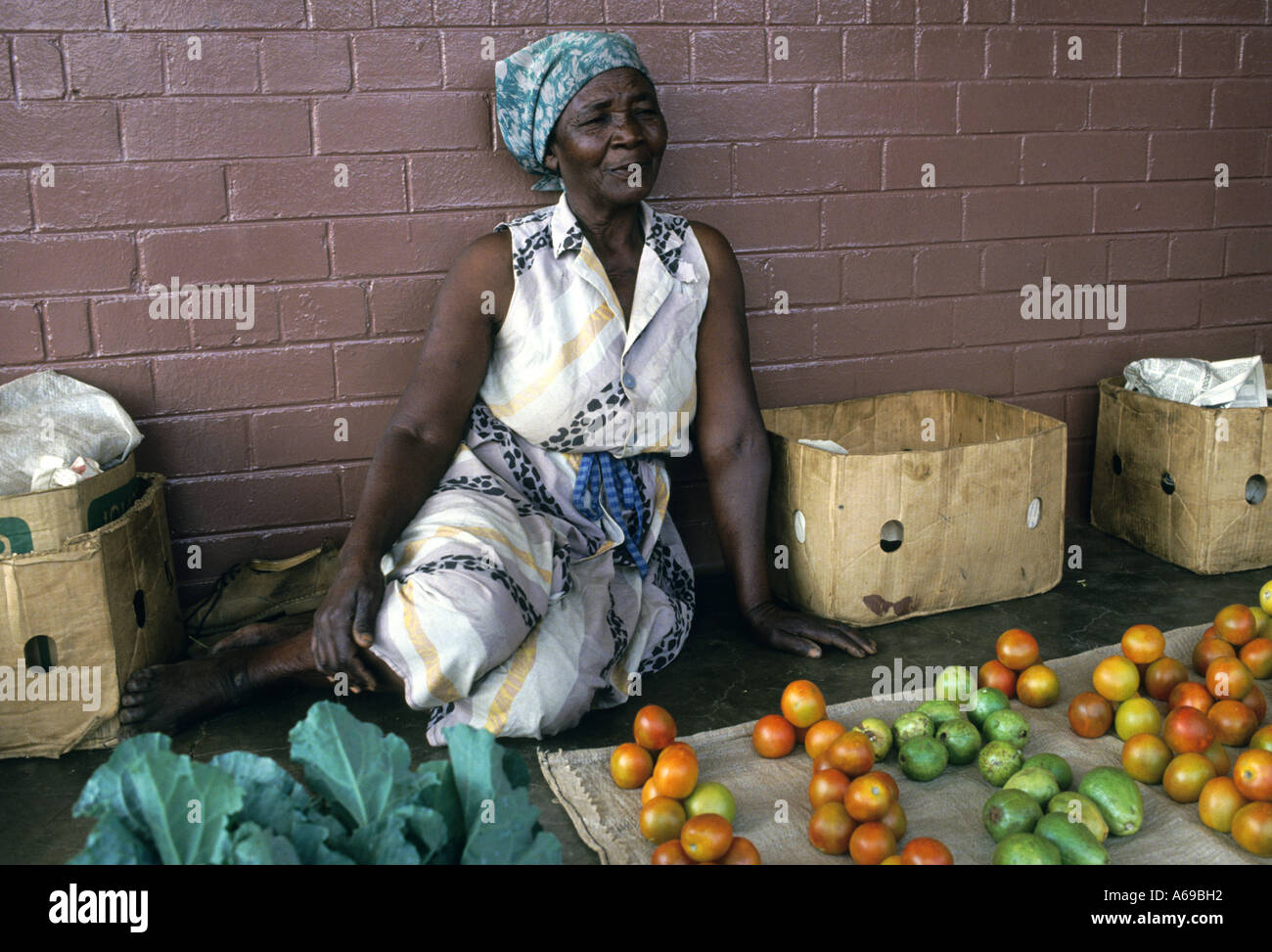 Donna che vendono frutta sulle strade, Zimbabwe Africa Foto Stock