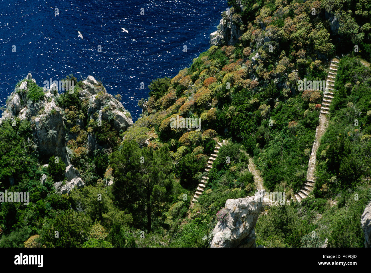 Capri Anacapri Italia un sentiero che si snoda attraverso l'aspro paesaggio di Punta Carena Foto Stock