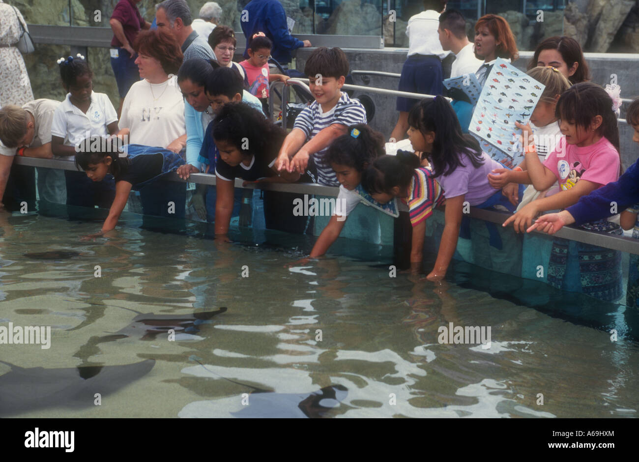 Scuola elementare bambini a giocare con la vita marina presso l'aquarium Foto Stock