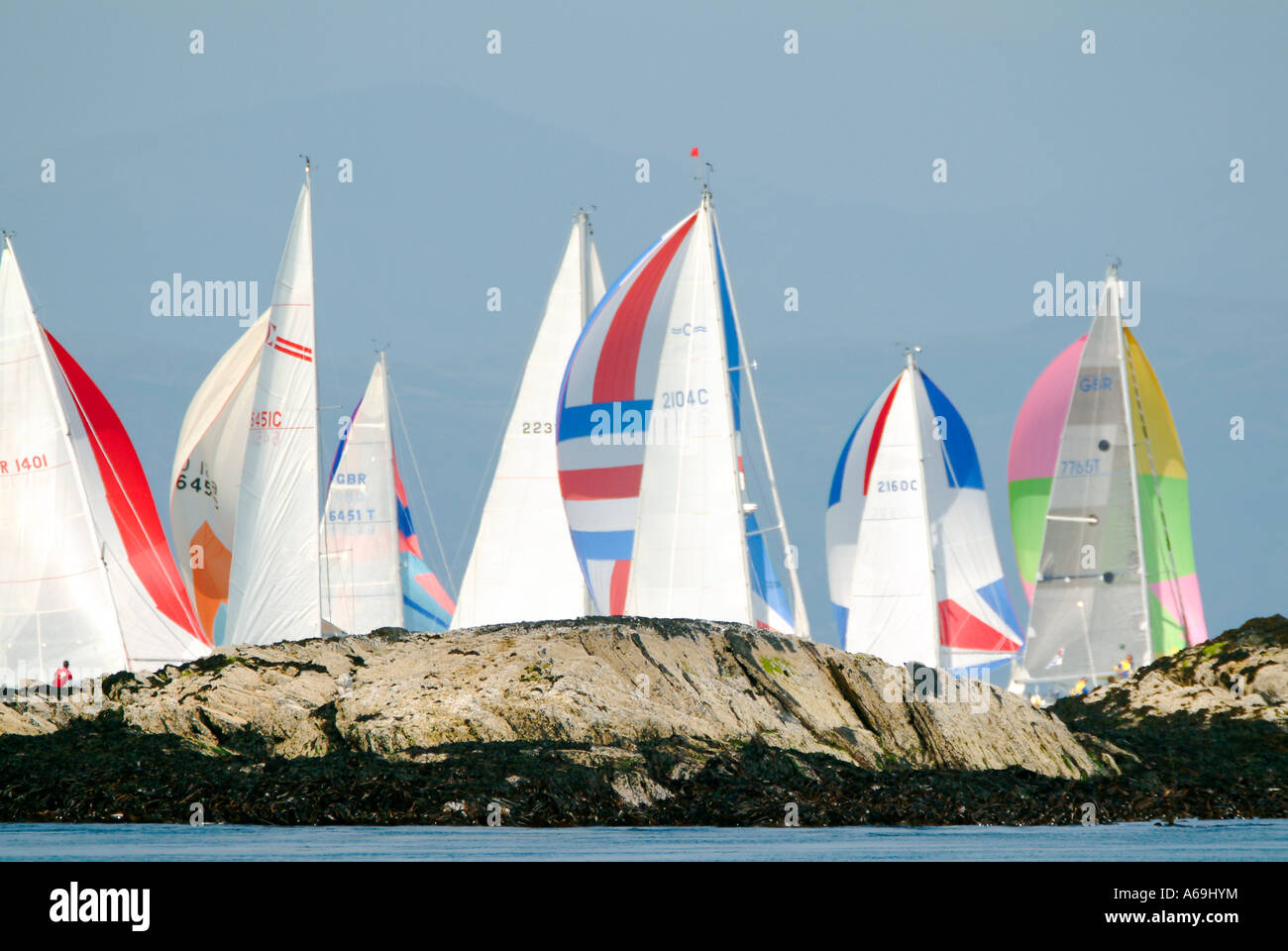 Yachts racing con spinnaker Foto Stock