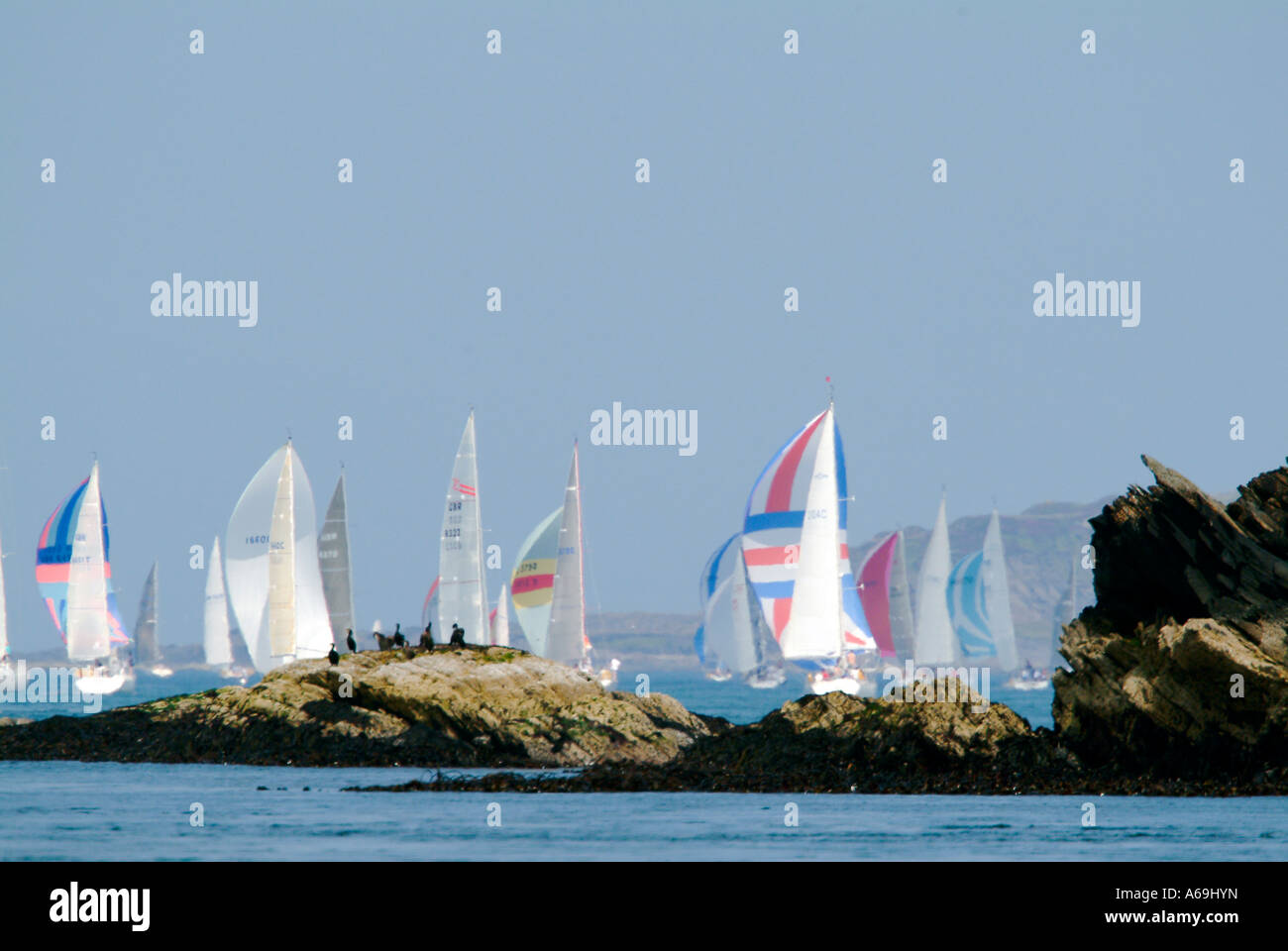 Yachts racing con spinnaker Foto Stock