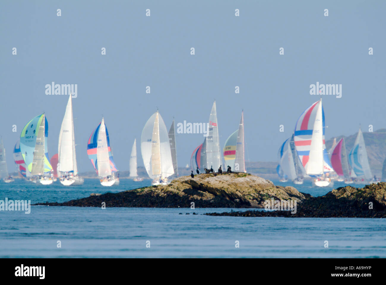 Yachts racing con spinnaker Foto Stock