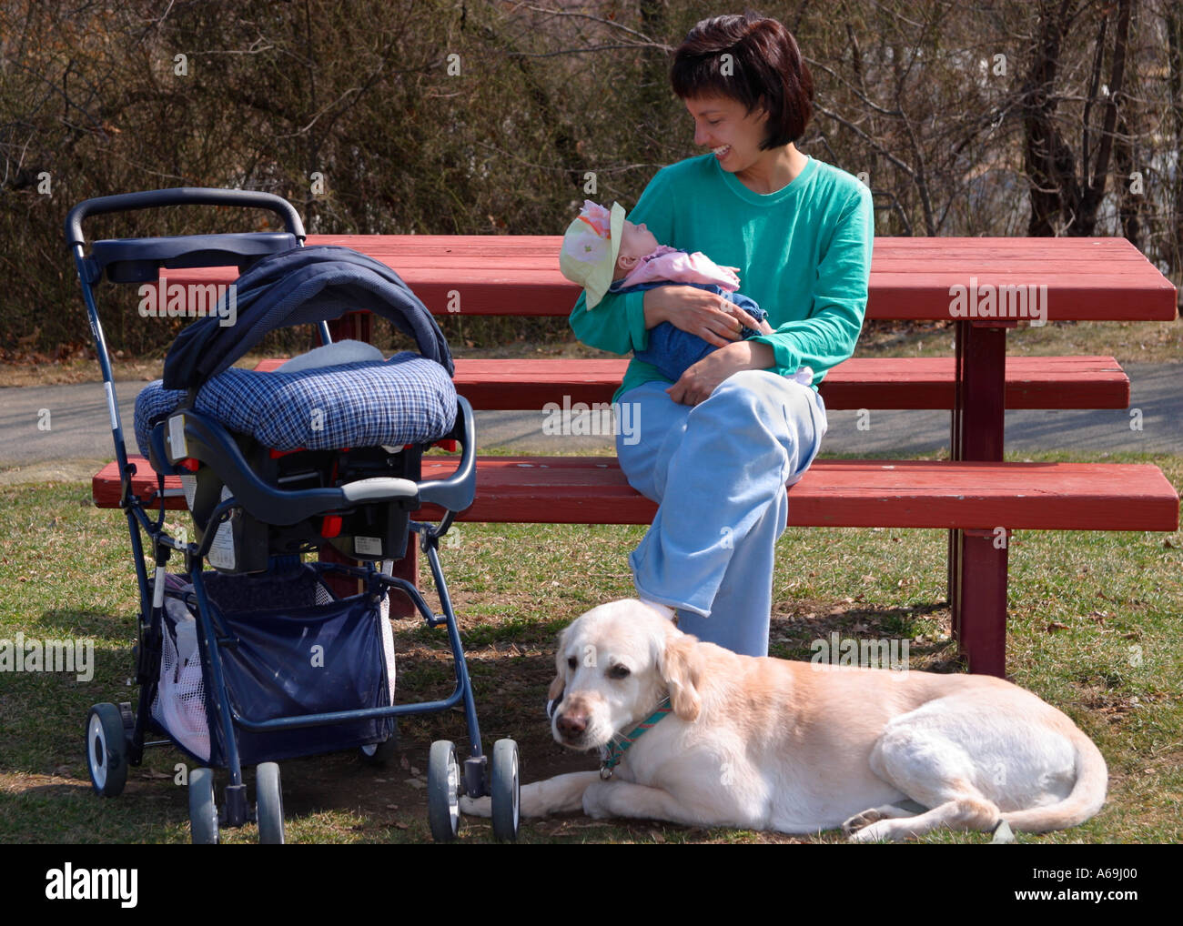 Una mamma prende una pausa sulla passeggiata nel parco con il suo bambino e cane Foto Stock