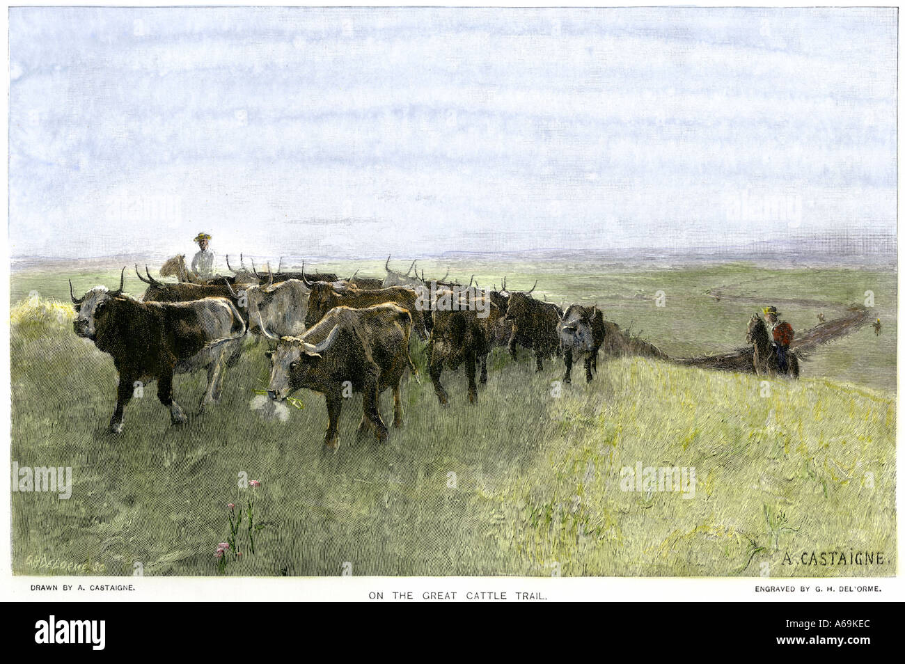 Cowboy alla guida di una mandria longhorn sul grande sentiero del bestiame 1800s. Colorate a mano la xilografia Foto Stock