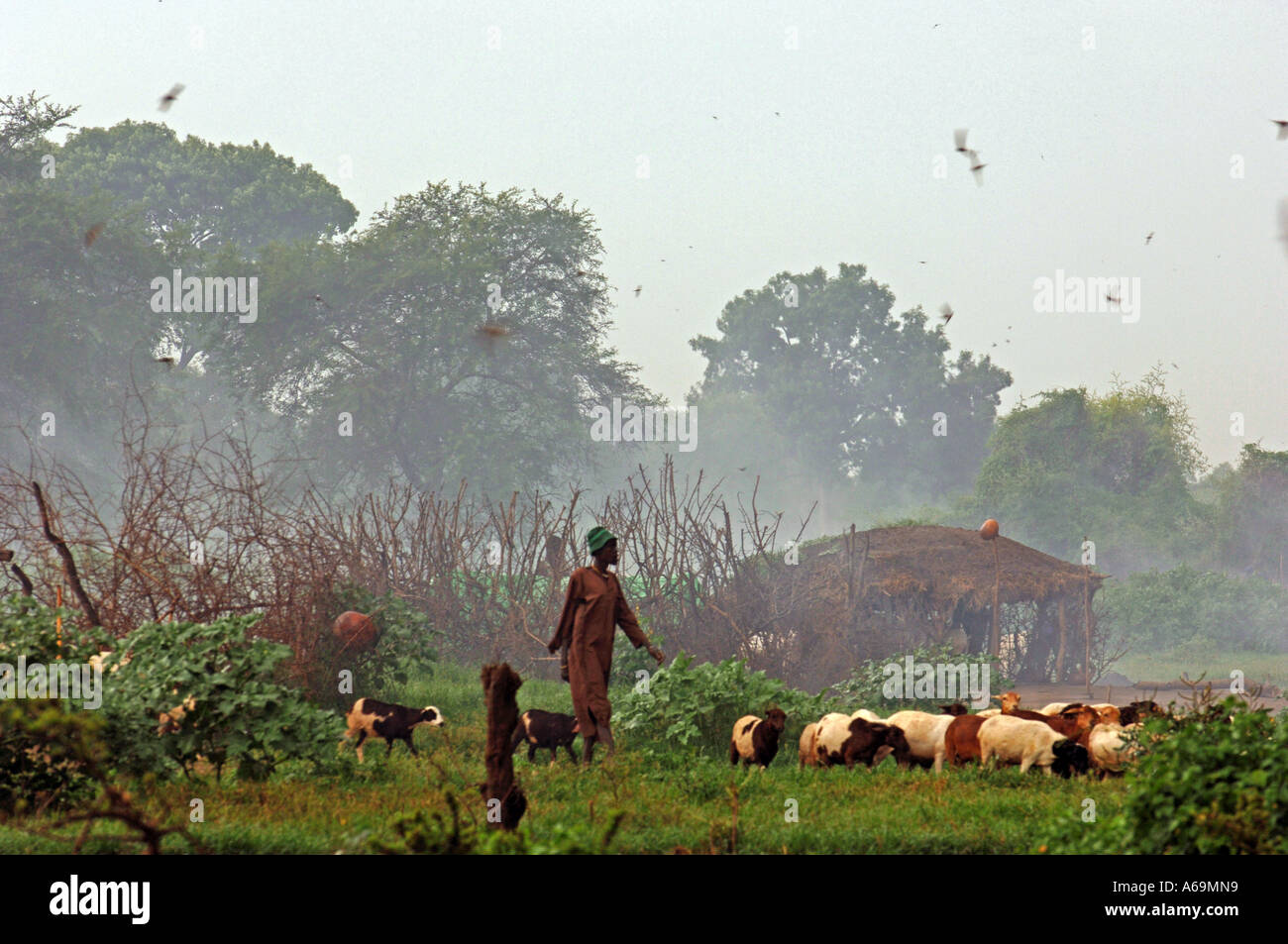 Rumbek Sudan Dinka persone sono una semi tribù nomadi di bovini hearders che vivono nelle terre del Sud Sudan Foto Stock