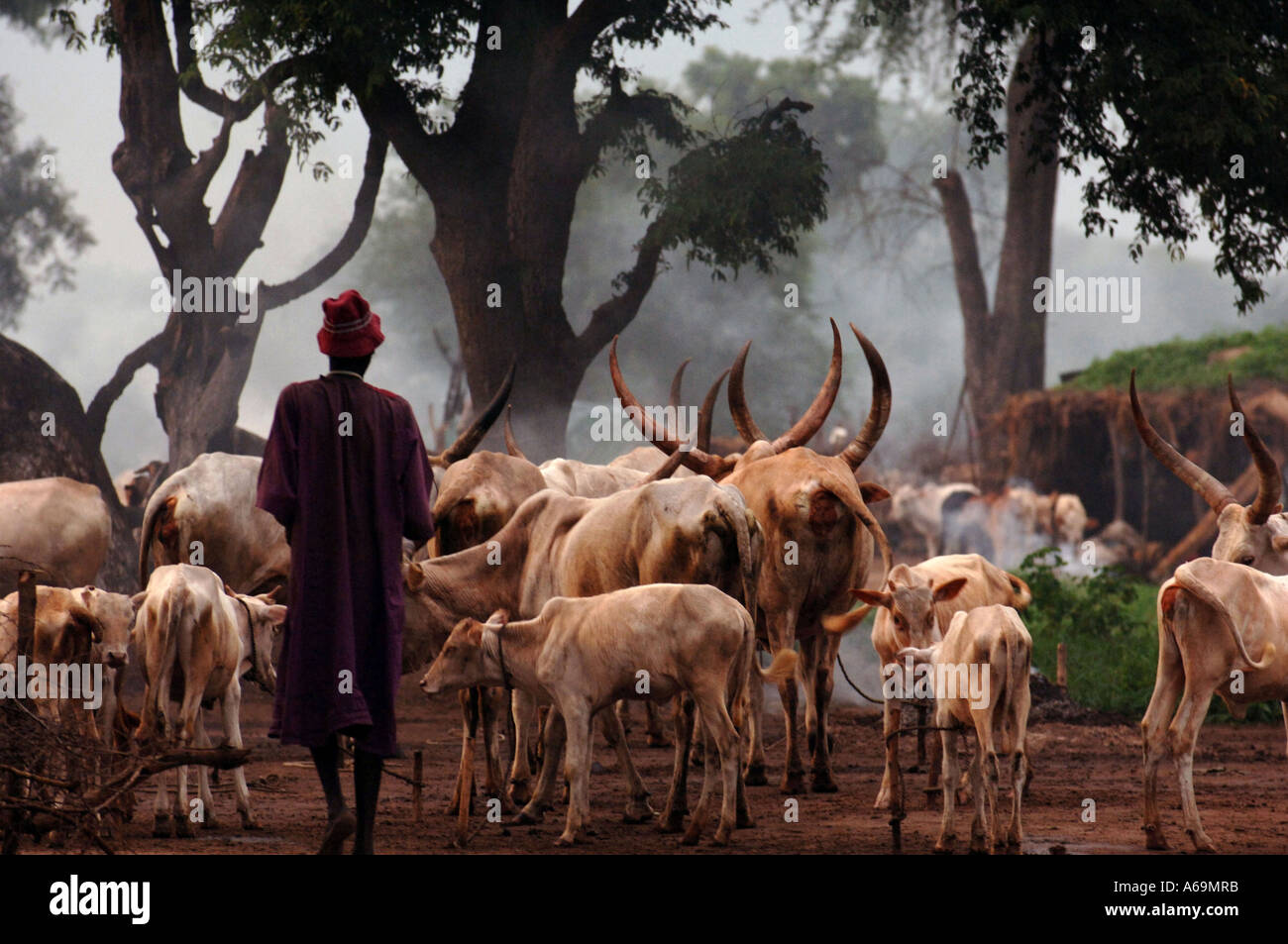 Rumbek Sudan Dinka persone sono una semi tribù nomadi di bovini hearders che vivono nelle terre del Sud Sudan Foto Stock