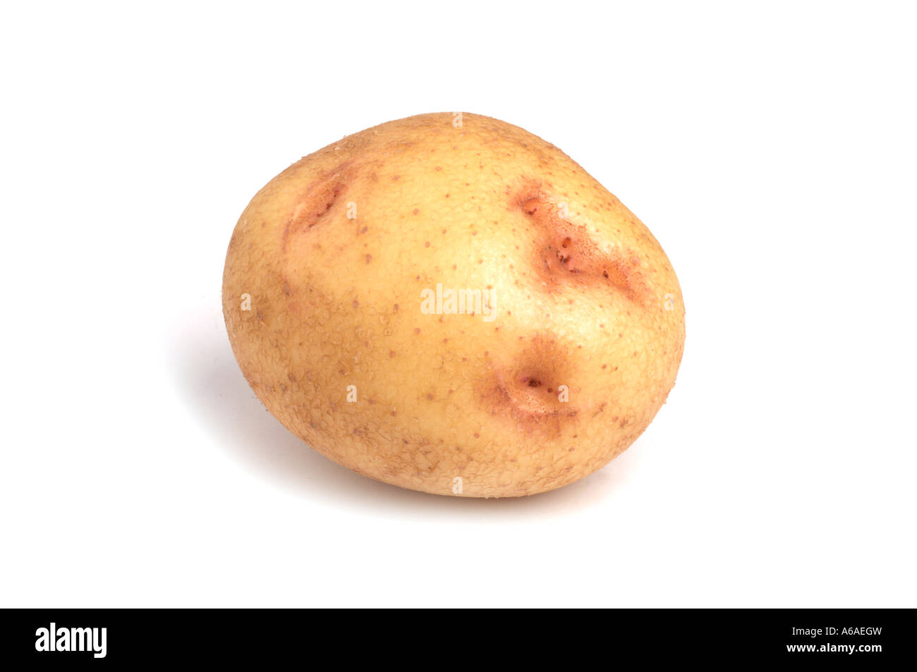 Grande patata di cottura Foto Stock
