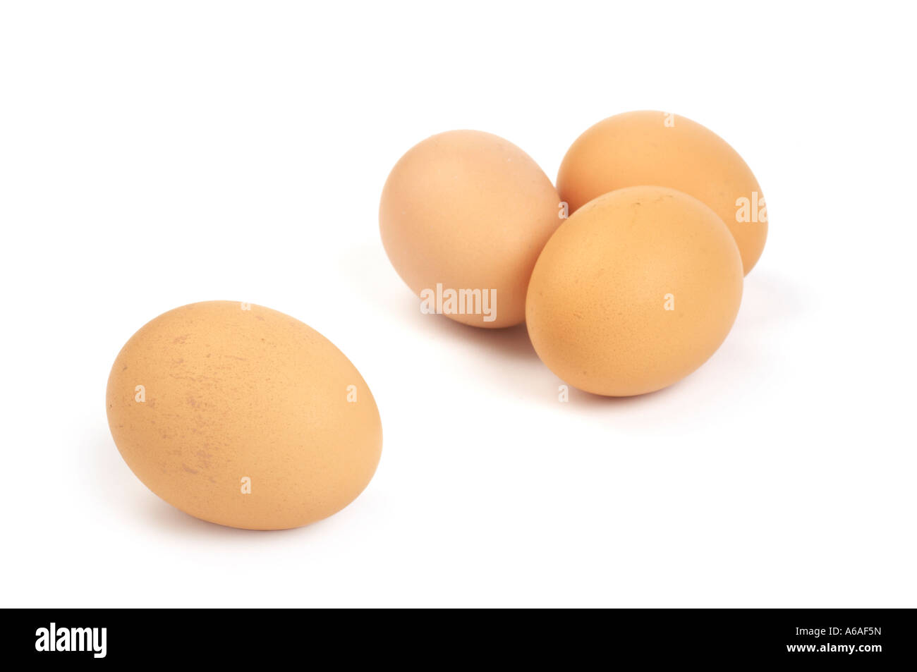 Free Range eggs Foto Stock