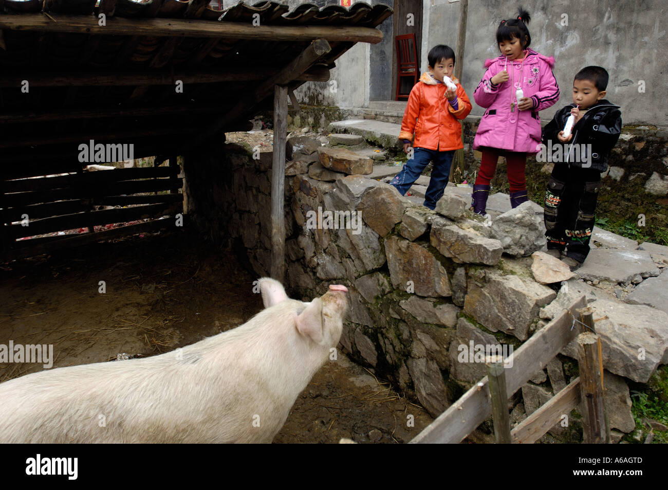 I bambini giocano vicino ad un pigpen vicino a casa del contadino in un villaggio rurale di Jiangxi, Cina. 2 Feb 2006 Foto Stock