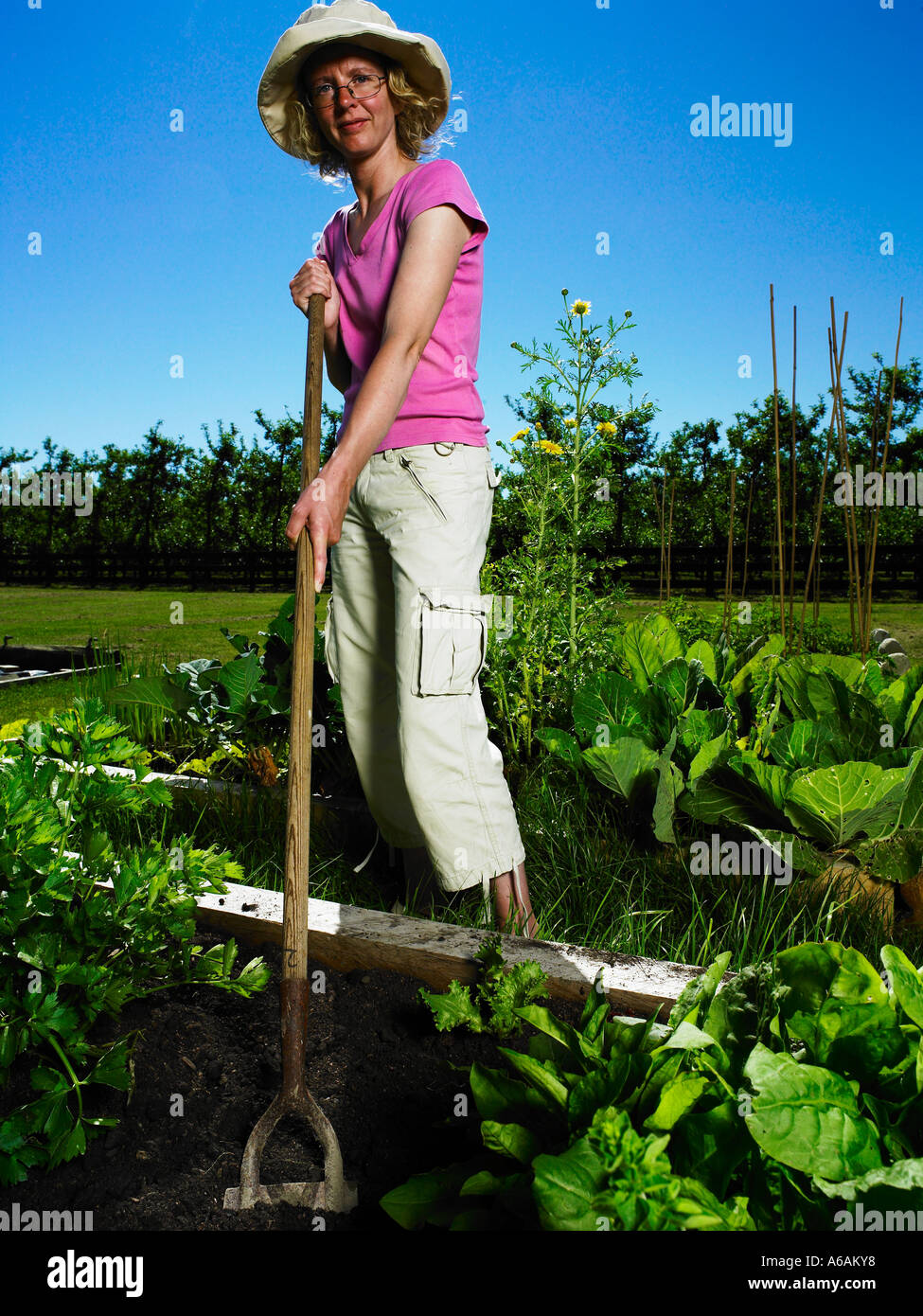 Signora su una calda giornata estiva indossando hat zappando il suo vegtable patch per evitare che le erbacce il modo organico Foto Stock