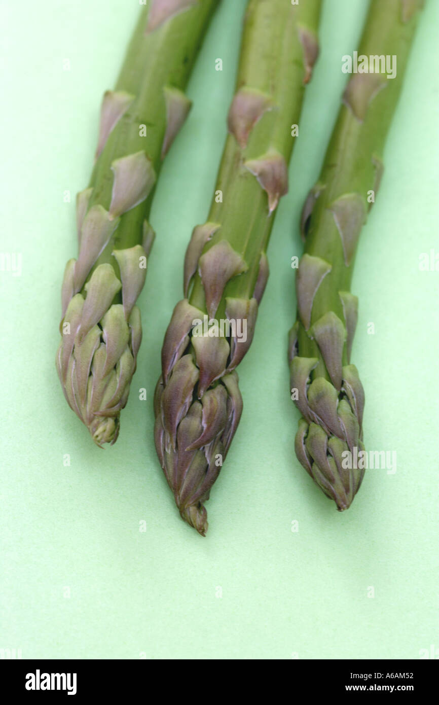 Tre nuove punte di asparagi verdi o spears Foto Stock
