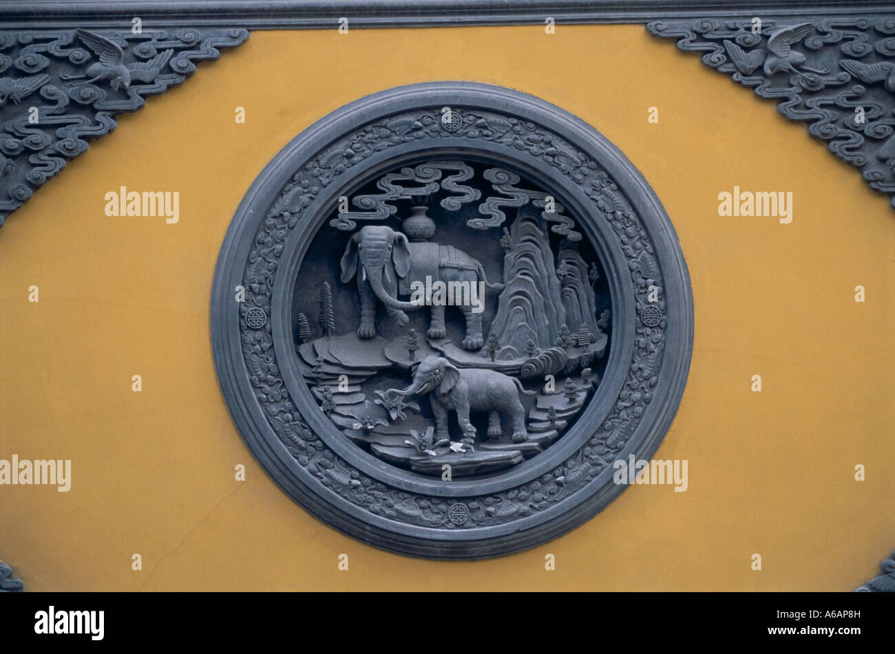 Cina, Shanghai, Jufo Si (il Tempio del Buddha di Giada) scolpito in pietra dettaglio parete raffiguranti elefanti Foto Stock