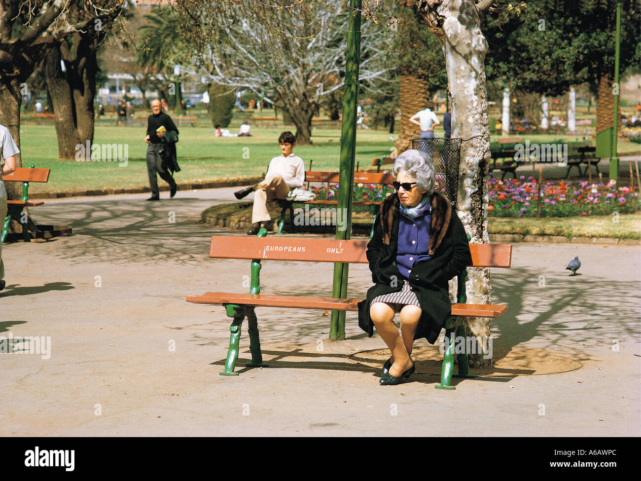 Bianca anziana signora seduta sui cittadini europei solo banco di parco in parco di Joubert a Johannesburg in Sud Africa preso nel 1973 Foto Stock