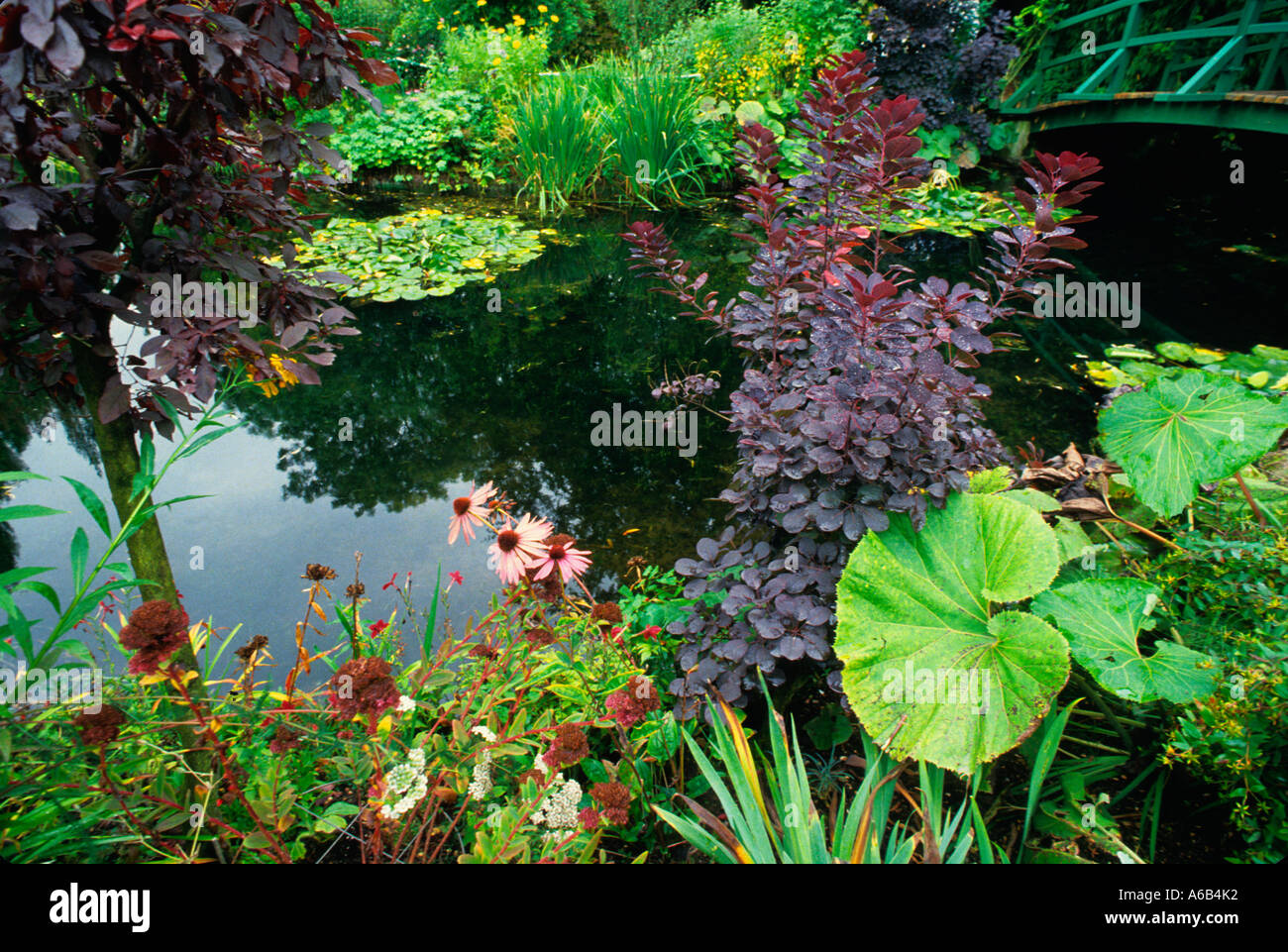 Giardino ornamentale stagno e giapponese Blue Bridge a Giverny casa dell'artista impressionista Claude Monet in Normandia Francia. Foto Stock