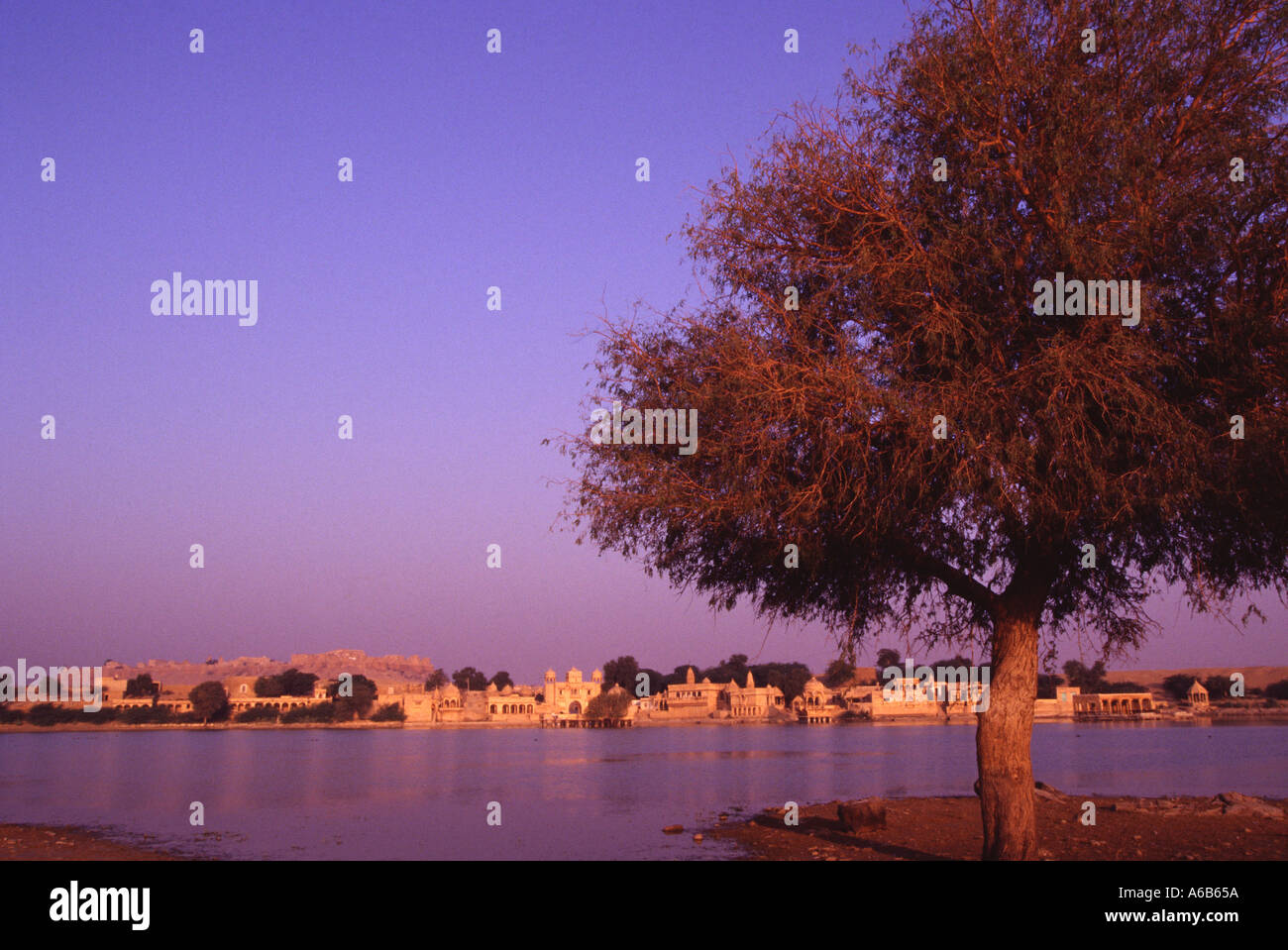 India Jaisalmer la città e il forte come si vede dal serbatoio nella luce del mattino Foto Stock