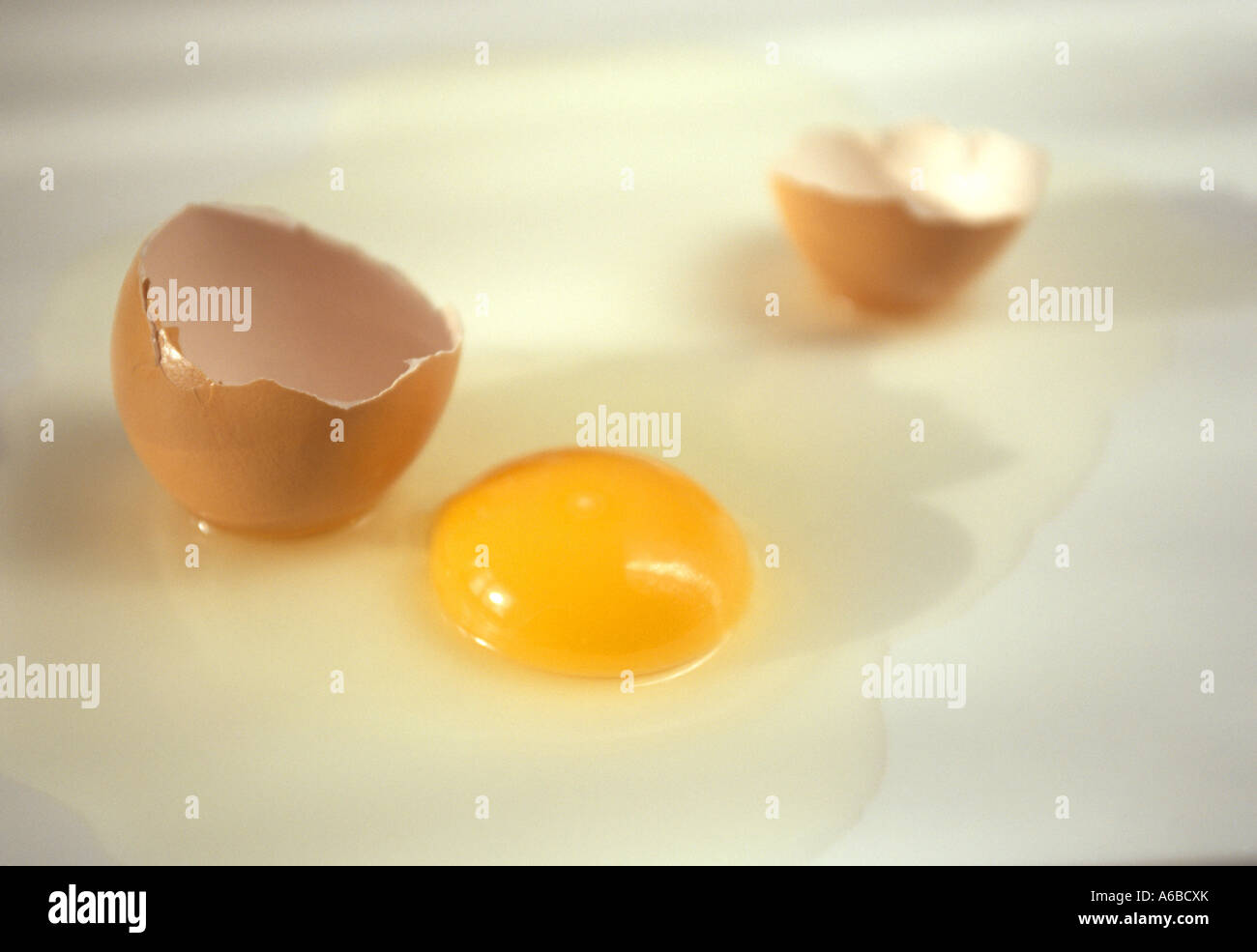 Aufgeschlagenes rohes Ei, uovo rotto Foto Stock