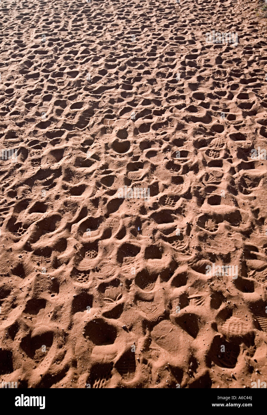 Impronte sulla via che conduce a ferro di cavallo ansa del fiume Colorado vicino page Arizona Foto Stock