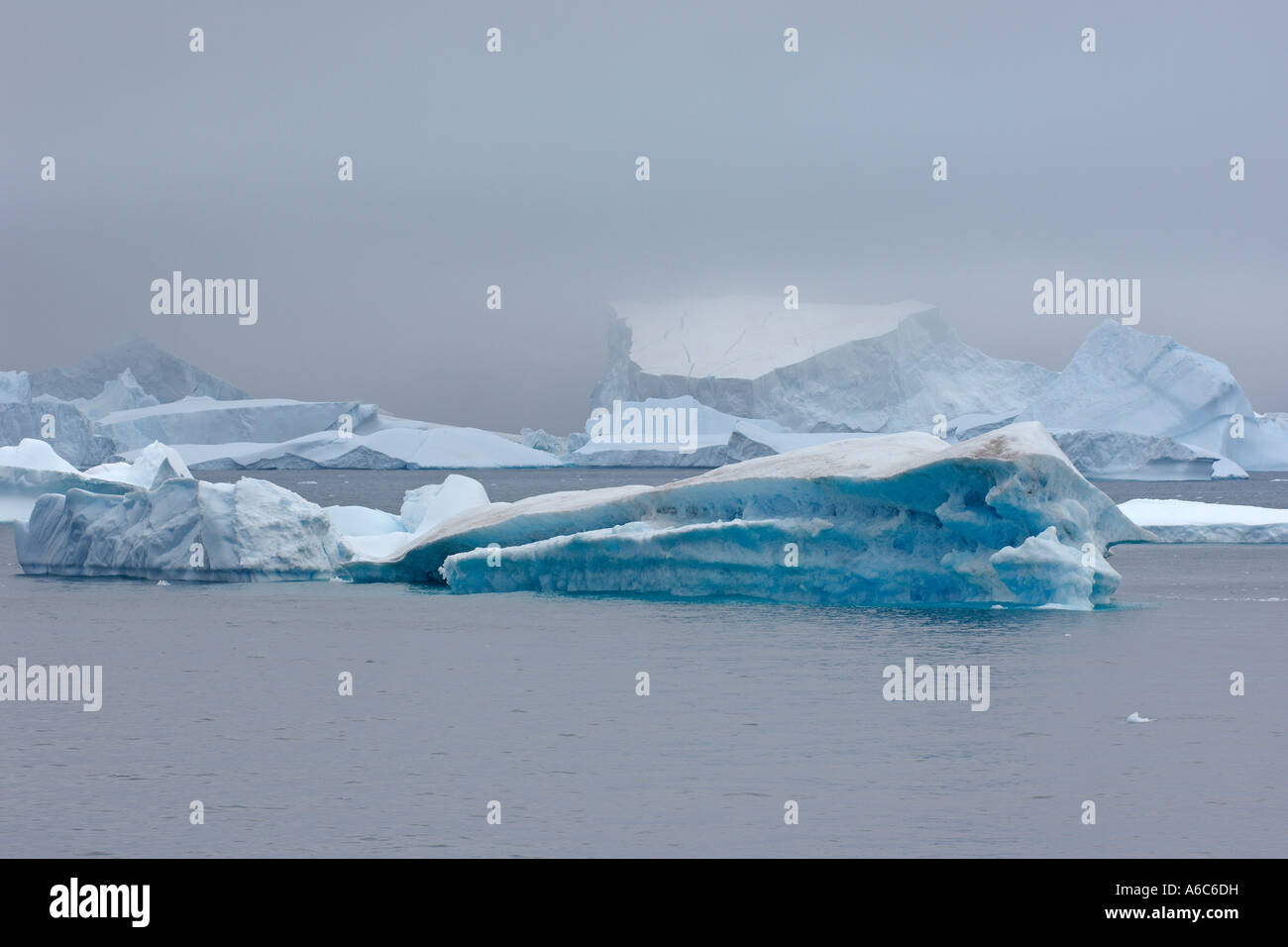 Blu iceberg Laurie Island South Orkney Isles Antartide Gennaio 2007 Foto Stock