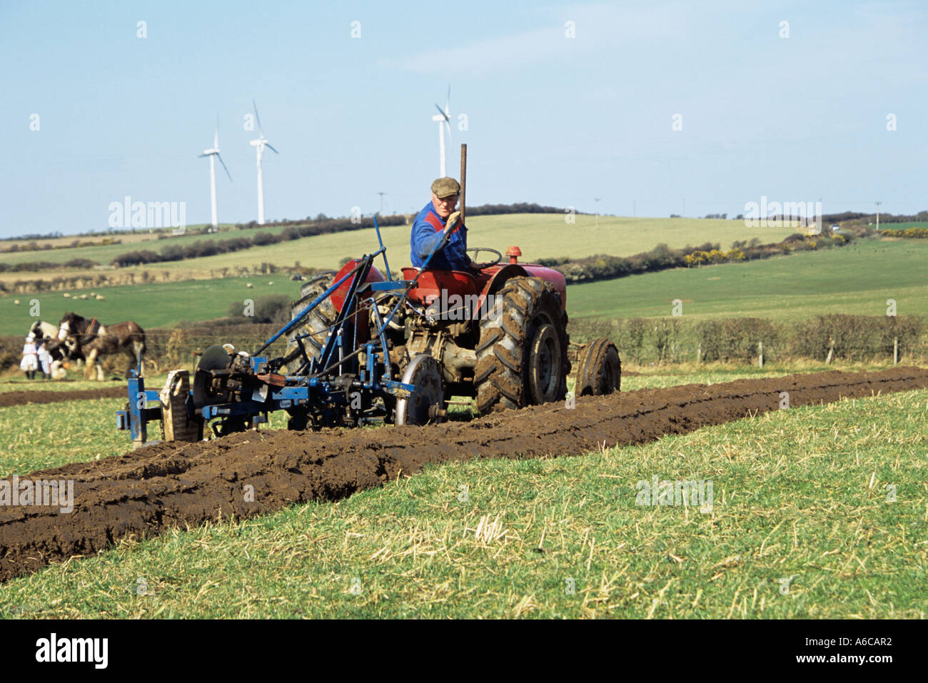 RHOSGOCH CEMAES ANGLESEY North Wales UK Marzo Massey Ferguson trattore Vintage tirando un aratro vintage Foto Stock