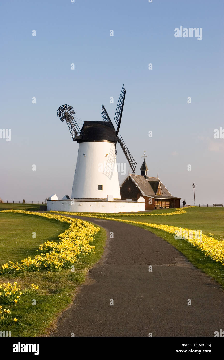 Giunchiglie rivestito il percorso che conduce al mulino a vento a Lytham St Annes vicino a Blackpool nel Lancashire, Regno Unito. Foto Stock